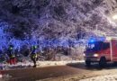 Oö: Zu viel Schnee auf einmal für einen Baum in Garsten