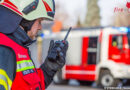 D: Einfangen von Schafen nach Erfassung durch ICE und folgende Attacke durch Pferde