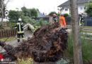 D: Knapp 150 Sturm-Alarmierungen im Landkreis Harburg am 29. / 30.01.2022