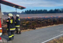 Bgld: Schilf- und Wiesenbrand im Rückhaltebecken in Jennersdorf