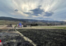 Bgld: Wiesenbrand auf rund rund 300 m² in Mattersburg