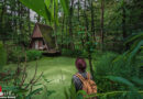 Internationaler Pixum Fotowettbewerb Magic Moments: Atemberaubende Gewinnerfotos begeistern Jury
