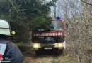 Bayern: Für Katze-von-Baum-Rettung Ausrüstung 300 m in den Wald getragen