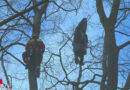 D: Abgestürzter Gleitschirmflieger hing in Werdohl in ca. 20m Höhe in einem Baum fest