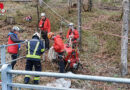 Oö: Gemeinschaftsübung FF Mitterweißenach & Bergrettung Bad Ischl „Wald- und Flurbrand“