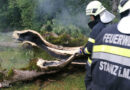 Stmk: Brennender Baum nach Blitzschlag in Stanz