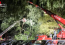D: Nächtlicher Einsatz des Bochumer Feuerwehrkrans nach Baumkronensturz auf Pkw