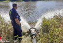 D: Fische „schnappen nach Luft“ → Feuerwehr und THW retten das Leben von hunderten Fischen