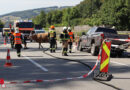 Oö: Anhänger mit zwei Kühen begann auf A 7 zu „schwanzeln“ und stürzte um