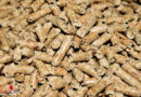 D: Brennholz und Holzpellets sind 2022 um 86 Prozent teurer als noch 2021