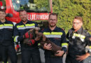Stmk: Zwei Hunde und eine Katze aus der Kanalisation gerettet