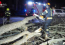 Land Nö dankt den Feuerwehren für die vorweihnachtlichen Sturmeinsätze