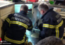 Nö: Feuerwehr befreit Kater Carlo durch Demontage einer Küchenzeile in Pfaffstätten