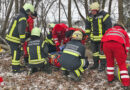 Nö: Verletzter bei Forstunfall in Weistrach