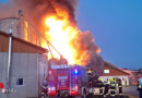 Stmk: 1000 Schweine bei Großbrand in St. Peter am Ottersbach gerettet, Hunderte umgekommen (Nachbericht)