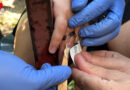 Nö: Kind in Schwechat in Notlage → Finger klemmt in Metallring