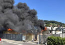 Schweiz: Hoher Schaden bei Feuer in Gärtnerei in Beinwil am See