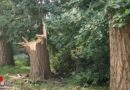 D: Ein kurzes Gewitter, Sturmböen, eine Windhose und jede Menge Arbeit für die Feuerwehr in Leer