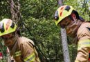 Neuer Rosenbauer-Waldbrandhelm HEROS H10 → auch für technische Rettung geeignet