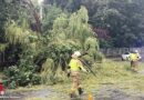 D: Fahrradfahrer in Bergisch Gladbach bei Gewitter von Baum begraben