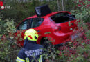 Oö: Pkw landet bei Unfall mitten im Gebüsch