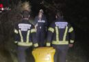 Nö: Bergung eines toten Hundes aus der Schwarza in Gloggnitz