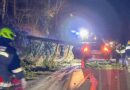 Bgld: Heftiger Sturm fordert zahlreiche Einsätze im Bezirk Oberwart → verletzte Person nach Baumsturz auf Auto auf B 50 bei Mariasdorf