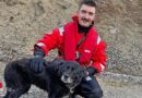 Nö: Vorsicht vor dünner Eisdecke → Hund in Wr. Neustadt nach Einbruch ins Wasser gerettet