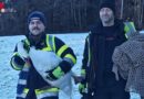 Ktn: Versorgung eines verletzten Schwans in Villach