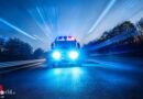 Schweiz: 15-Jähriger bei Unwetter in Romainmôtier von Ast getroffen und Verletzungen erlegen