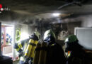 Oö: Katze als Wecker bei Zimmerbrand in Bad Ischl