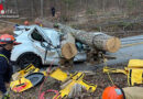 USA: Schwierige Rettung einer Frau aus von Baum gequetschtem Auto → Kreativität war gefragt
