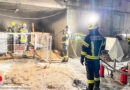Oö: Brand in Kälberbox in Julbach kostet einem Tier das Leben