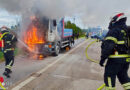 Nö: Jahresbilanz 2024 der Feuerwehr Wiener Neudorf zeigt 644 Einsätze → Belastung nimmt zu