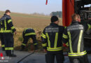 Oö: Feuerwehr holt Katze in Offenhausen aus Kanalrohr