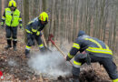 Nö: Wanderer meldet Rauchentwicklung neben Forststraße in Klausen-Leopoldsdorf und verhindert Waldbrand