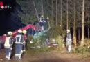 Nö: Bei Unfall in Biberbach gefällte Bäume begraben Auto