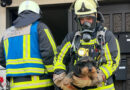 D: Zwei Hunde aus verrauchter Wohnung in Bochum gerettet