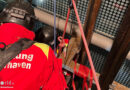 D: Höhenretter der Feuerwehr befreien drei Jugendliche aus feststeckendem Aufzug