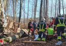 Nö: Forstunfall bei Maria Laach → Mann von Baum getroffen