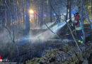 D: Autobrand wird in Evendorf zum Waldbrand → 12 Strahlrohre eingesetzt