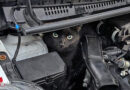 Bayern: Katze steckt in München im Motorraum eines Autos
