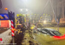 Oö: E-Auto bei Unfall in Altenfelden in Panholzteich gelandet