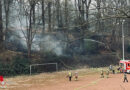 D: Erster Waldbrand des Jahres 2025 in Essen → rund 1.000 Quadratmeter Vegetation verbrannt