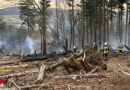 D: Waldbrand in Arnsberg beschäftigt Feuerwehr bzw. über 130 Kräfte stundenlang