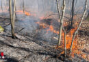 D: Brand in Wald in Stuttgart breitet sich schnell aus