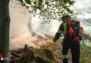 Nö: Freiwillige Feuerwehr Mödling rückte im Jahr 2024 über 694 Mal zu Einsätzen aus