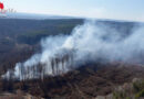 Bgld: Waldbrand-Einsatz auf ungarischem Staatsgebiet