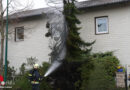 Oö: Löschangriff mit Gartenschlauch → Brand eines Baumes drohte in Wels auf Haus überzugreifen