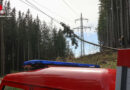 Oö: Baum in Hochspannungsleitung → sechs Feuerwehren bei Waldbrand in Steinbach am Ziehberg im Einsatz